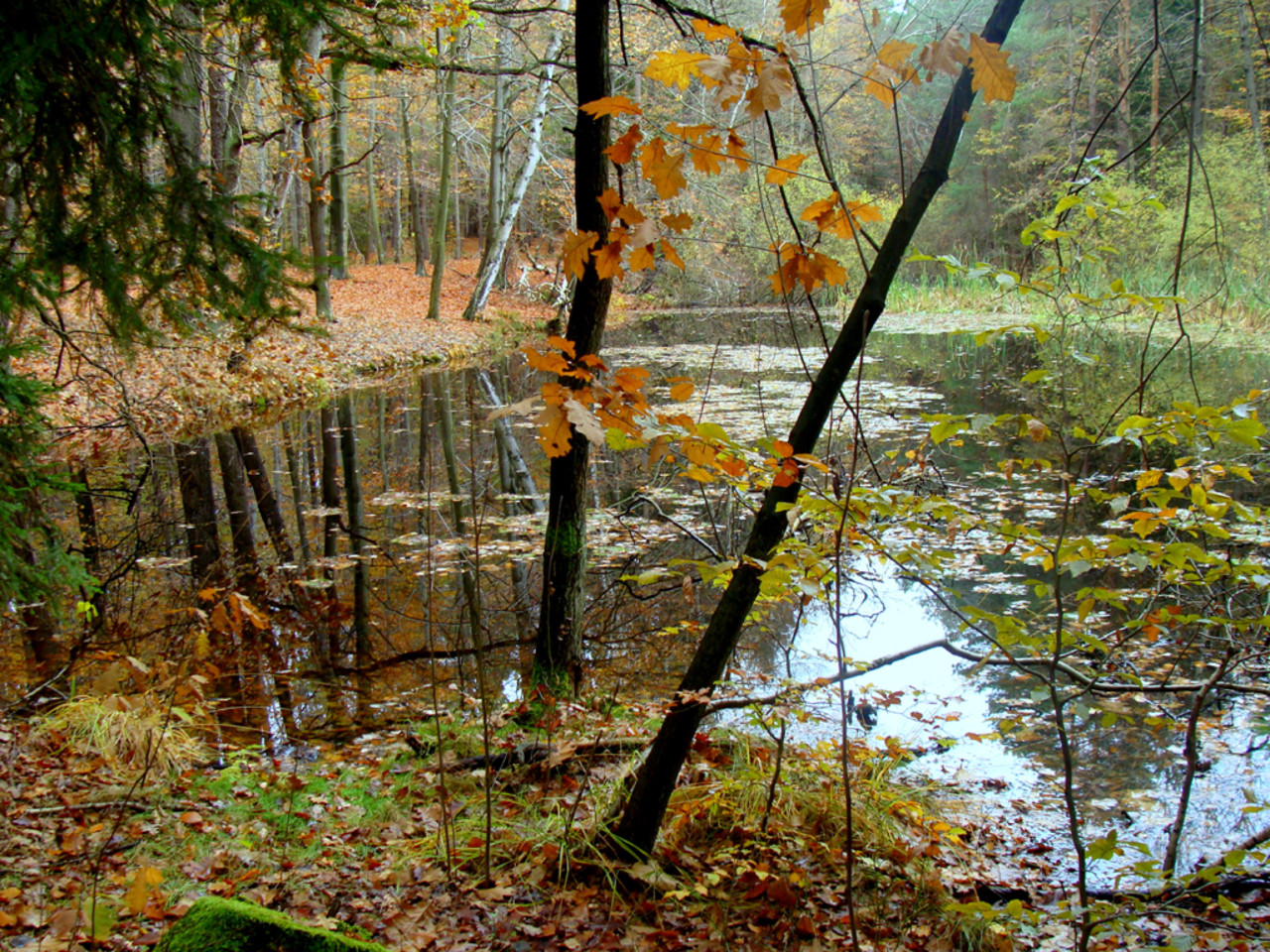 Top Nine Lessons About Macchinetteslot.com To Learn Before You Hit 30