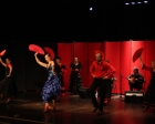 flamenco_09