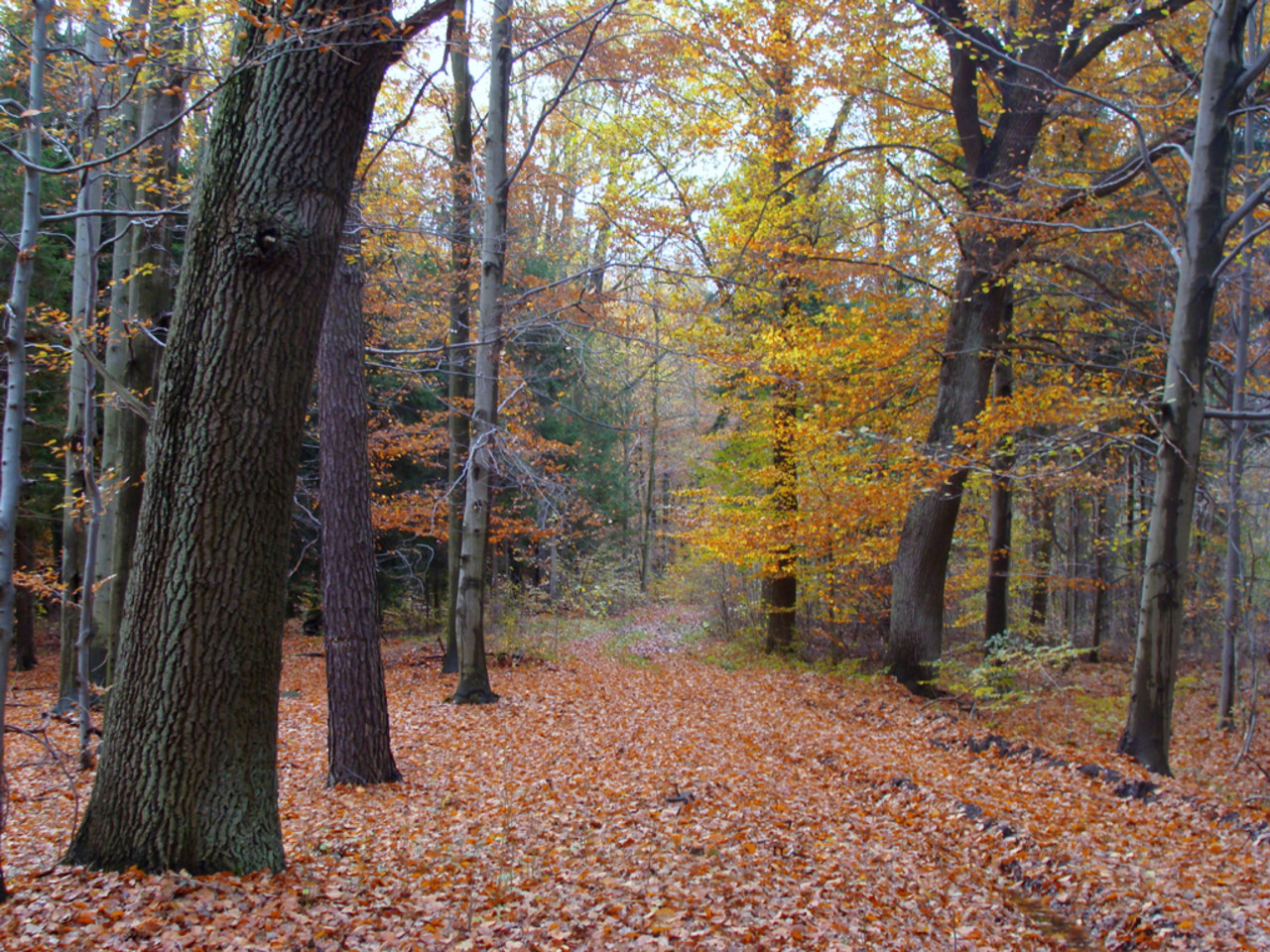 PokerTube - The Conspriracy